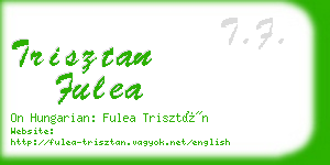 trisztan fulea business card